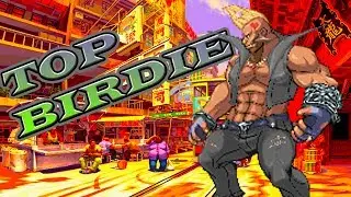 SFV 🔼 XYZZY's Birdie Perfect/Super KOs 🔽