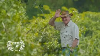 Andrew Bone: Capturing Africa's Wild Side