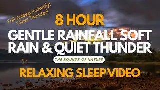 8 Hours of Gentle Rainfall 🌧️ Soft Rain & Quiet Thunder Sounds for Deep Sleep, Relaxation & Insomnia