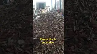 Fishmeal Plant. #poultryfeed #machine #animalfeed #rendering #shorts #shortvideo #fishmeal
