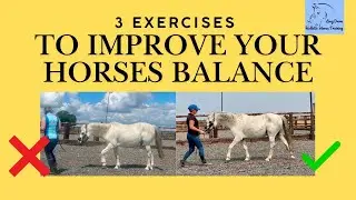 3 exercises to improve your horses balance