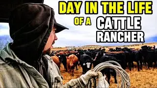 DAY IN THE LIFE Of A Nebraska Cattle Rancher 