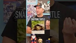 How Many Bites For These Animals To Kill You?! #shorts #animal #bite #life #death