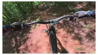 Green Lick trail Pisgah