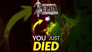 Pink Fairies Defy DEATH #botw #totk #zelda #ocarinaoftime #nintendo