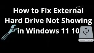 Как исправить проблему с отображением внешнего жесткого диска в Windows 11 10: полное руководство