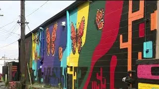 Volunteer in Detroit with Summer in the City!