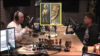 Joe Rogan Experience: Theo Von ate owl for Thanksgiving?!