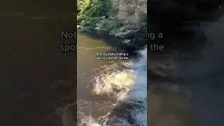 Hidden gem in the UK #shorts #northeast #northyorkshire #river #cliffjumping
