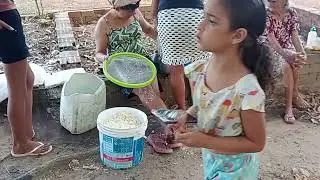 Na produção de massa puba!