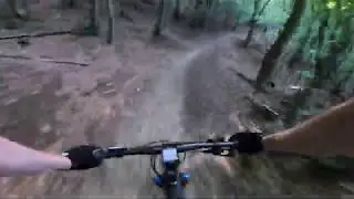 Wienerwald MTB: Kahlenbergerdorf-Strecke single track hills