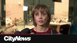 Green Line discussions in last Calgary City Hall meeting of 2024