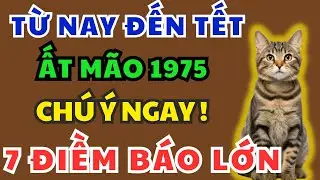 Ất Mão 1975 từ nay đến Tết Âm Lịch, Bất Ngờ Xuất Hiện 7 Điềm Báo Lớn – Kiểu gì cũng xảy ra!