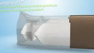 BuddyRest Dog Bed Product features