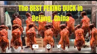 The BEST PEKING DUCK in Beijing, China