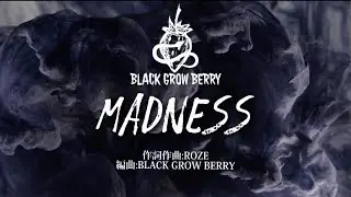 BLACK GROW BERRY - MADNESS / OFFICIAL LYRIC VIDEO