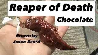 Reaper Of Death Chocolate | Grown By Jason Beard | And An RB003