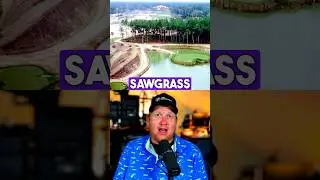 Inside TPC: PGA Tour's Global Golf Empire ⛳🌍 #golf #golflife #pga