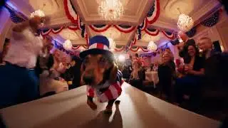 Dog Outshines Models in Fashion Show