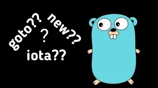 Some Uncommon Syntax/Features In Go