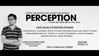 PERCEPTION (the movie)