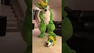 There&rsquo;s gay on the floor. Oh well. #Furrytiktok #Tiktok #Ascarihusky #Tiktokfurry #Morefurless