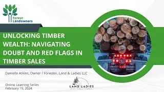 Unlocking Timber Wealth  Navigating Doubt and Red Flags in Timber Sales