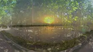 Pilibhit Tiger Reserve #Pilibhit #UttarPradesh