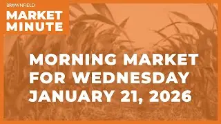 Soybeans were higher overnight | Morning Market Minute