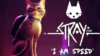 STRAY &lsquo;I AM SPEED&rsquo; SPEED RUN TROPHY WALKTHROUGH! (PlayStation 5 Gameplay Play Through!)