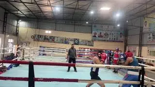 🥊