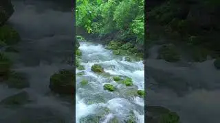 Enjoy the mountains and water in a cool summer #nature #riversounds #coolcamping #campvibes