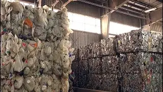 Sorting Recyclables at the Blue Line Transfer MRF