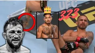 Petr Yan Dominates Merab! Pantoja Injury Ruins Title Fight &ndash; UFC 323 Full Recap