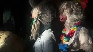 Bach To The Rock ~ Rock-afire Explosion Billy Bobs Wonderland 