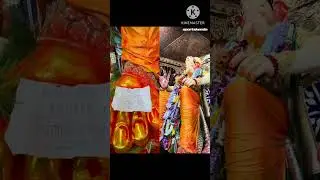 Pray For team India to win World Cup🙇❤️#viral #youtubeshort #cricket #shorts #indiancricketteam #cwc