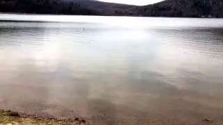 Ducky