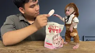 Baby monkey Xuka unexpectedly received a donation from Mr. William in Tallahassee, Florida, USA