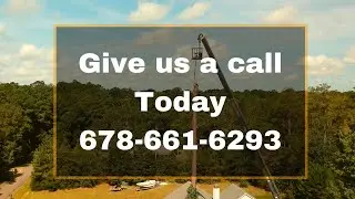 Expert Tree Services in Marietta, GA - Tree Service Marietta