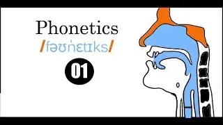 Linguistics [Semester 4] |Phonetics| Speech Organs الـدرس الأول