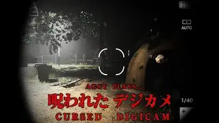 Aggy takes some completely normal pictures at the park... - Cursed Digicam