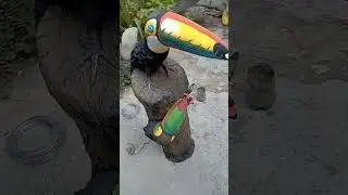 tucano feito de cimento