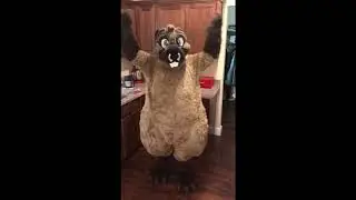 I&rsquo;M A BEAVER! | More Fur Less ~ First full suitup!