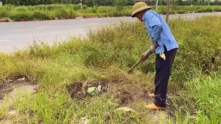 Cleaning the World's Scariest Sidewalks That Have Been Overrun by Weeds and Neglected for Years