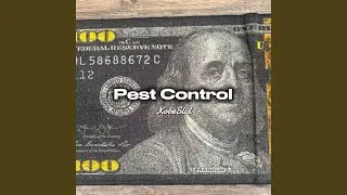 Pest Control