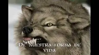 Ain't Your Fairytale - Sonata Arctica (Subtitulos Español)