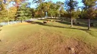 Wolf Lake Ranch