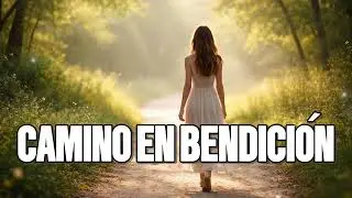 Mi Camino Está Bendecido | Abundancia, Protección y Luz en Cada Paso ✨