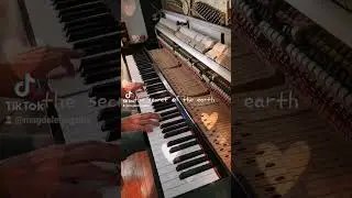 Secrets of the Earth by Lama House #secretsoftheearth #lamahouse #pianocover #relaxingpianomusic