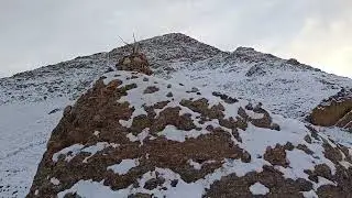  Part 4:- for pick up the leftover goods...#snow #donkey #pain #pity #struggle 